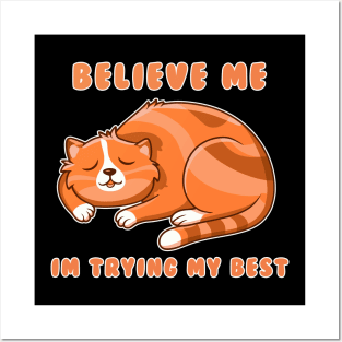 Cat Believe Me Posters and Art